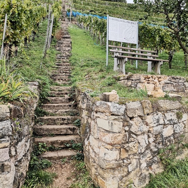 Die historischen Steintreppen am Castellberg  Jrg Mutz