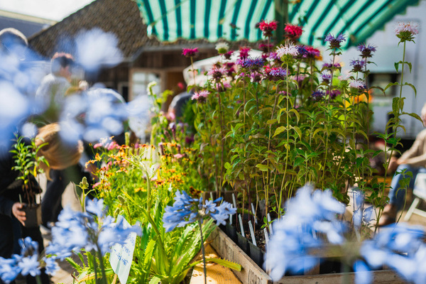 Blumen auf dem Naturpark-Markt  Hochschwarzwald Tourismus GmbH